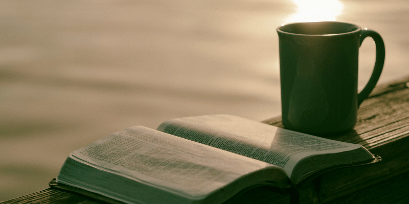 explore the bible
